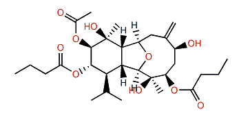 Klysimplexin V